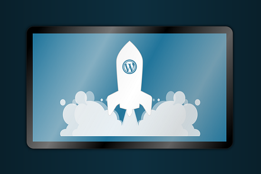 Why WordPress is the best platform for businesses in Guyana