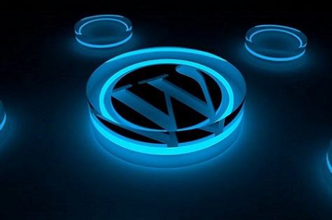 WordPress website development company Guyana